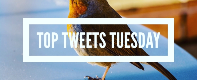 Top Tweets Tuesday