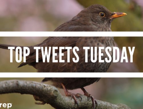 Top Tweets Tuesday – Issue #8