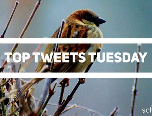 Top Tweets Tuesday – Issue #10