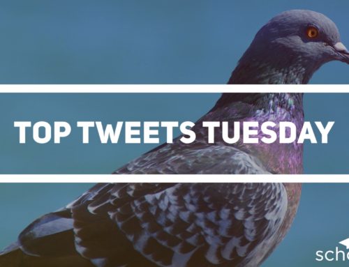 Top Tweets Tuesday – Issue #11