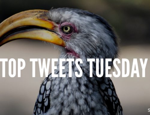 Top Tweets Tuesday – Issue #12