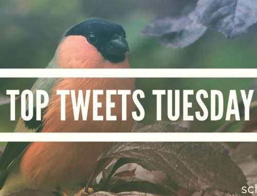 Top Tweets Tuesday – Issue #13