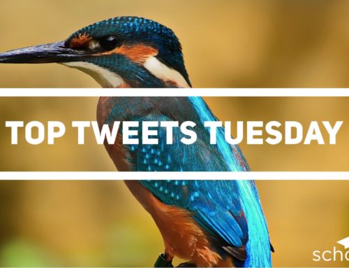 Top Tweets Tuesday – Issue #14