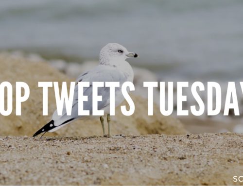 Top Tweets Tuesday – Issue #15